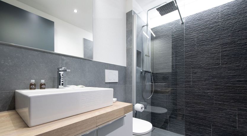 Photo of Stag on the Mountain