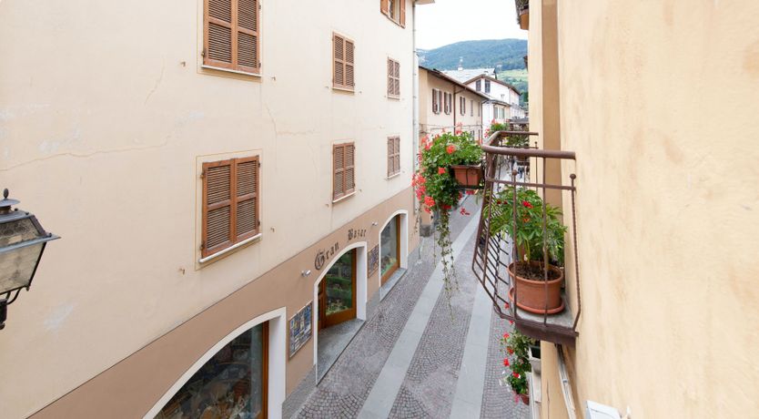 Photo of Stag on the Mountain