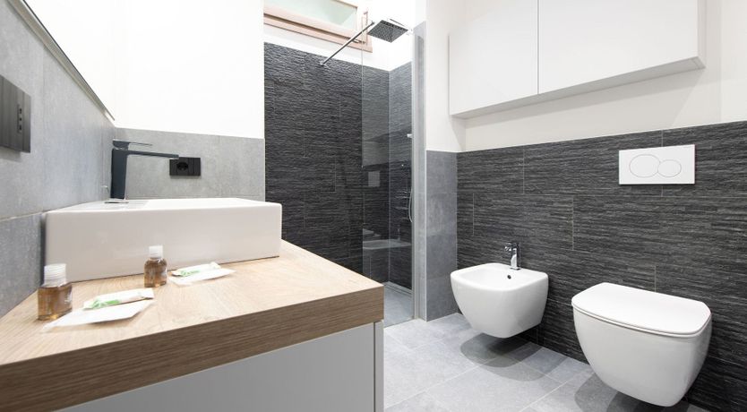 Photo of Stag on the Mountain