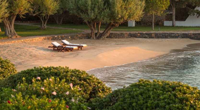 Photo of Elemental Colour