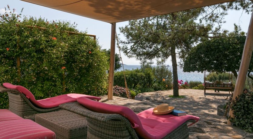 Photo of Elemental Colour