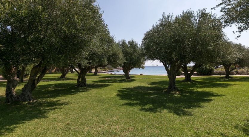 Photo of Elemental Colour