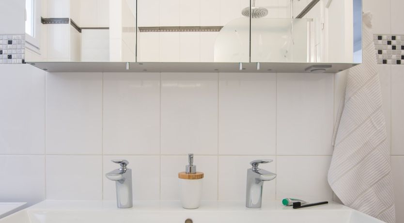 Photo of Flight of the Swallows