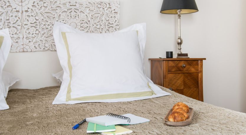 Photo of Flight of the Swallows