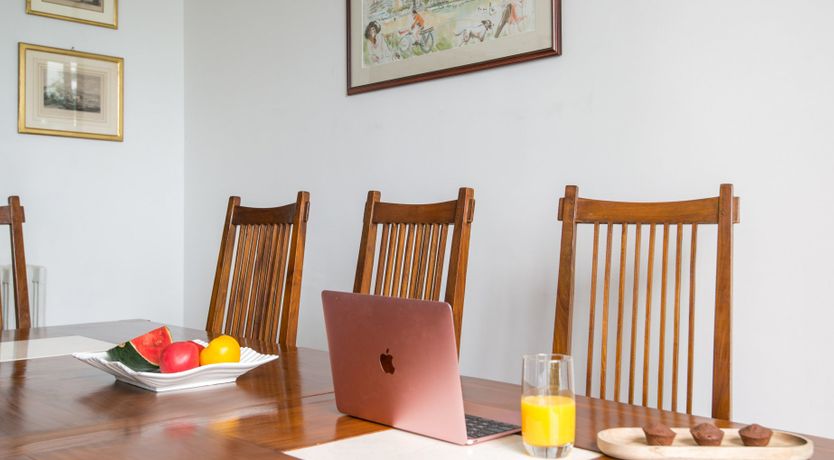 Photo of Flight of the Swallows