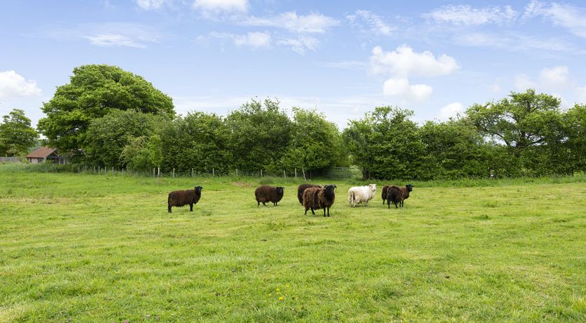 Photo of Montague Manor