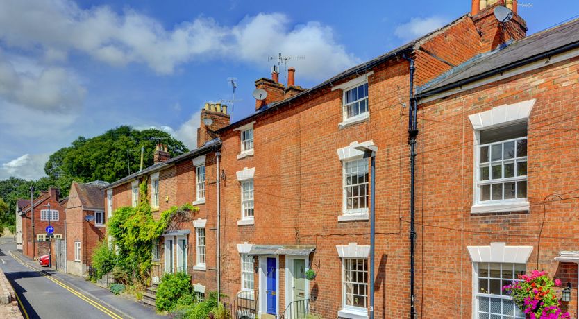 Photo of Jungle Jive