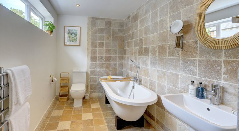 Photo of Jungle Jive