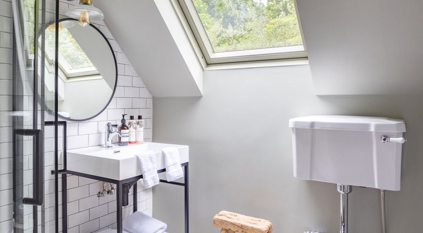 Photo of The Song Bird