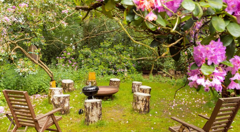 Photo of The Song Bird