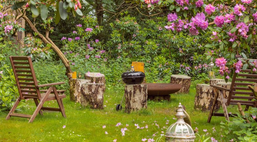 Photo of The Song Bird