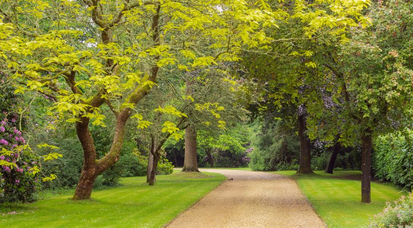 Photo of The Song Bird