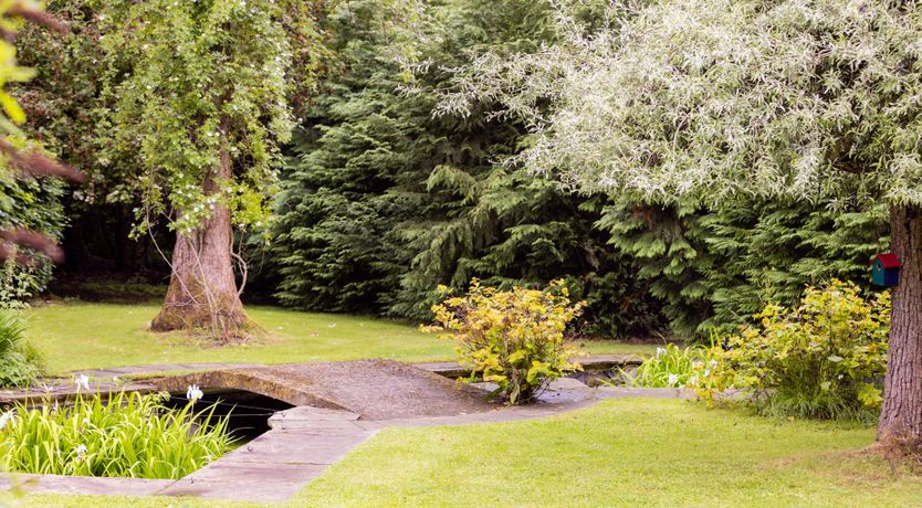 Photo of The Song Bird