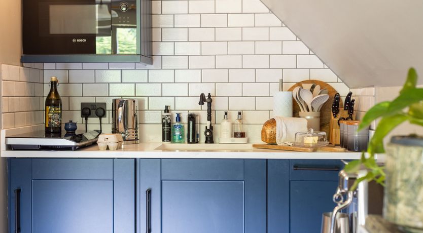 Photo of The Song Bird