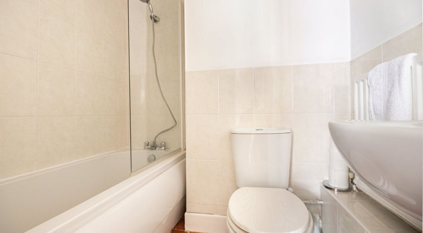 Photo of The Swan's Feather