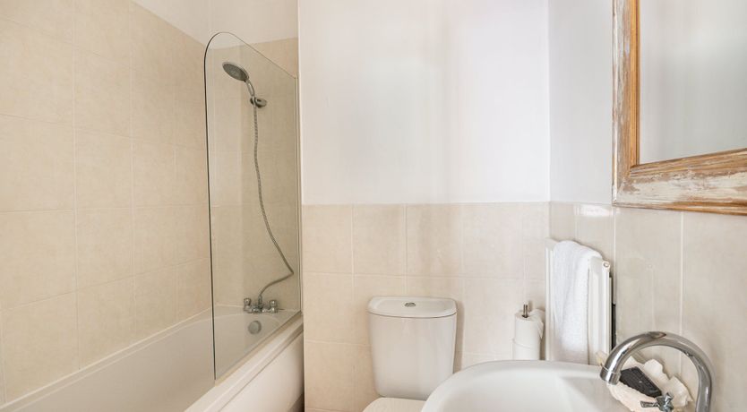 Photo of The Swan's Feather