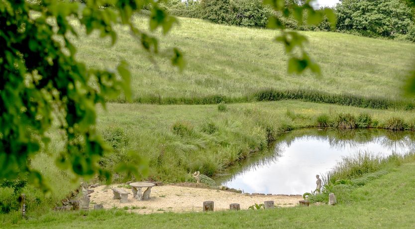 Photo of Fields of Dreams