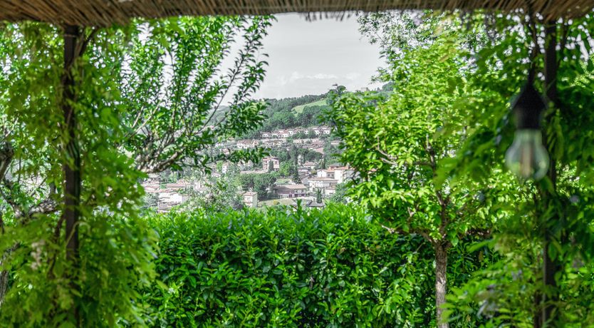 Photo of Divine Reverie