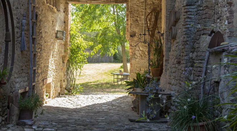 Photo of Into the Groves