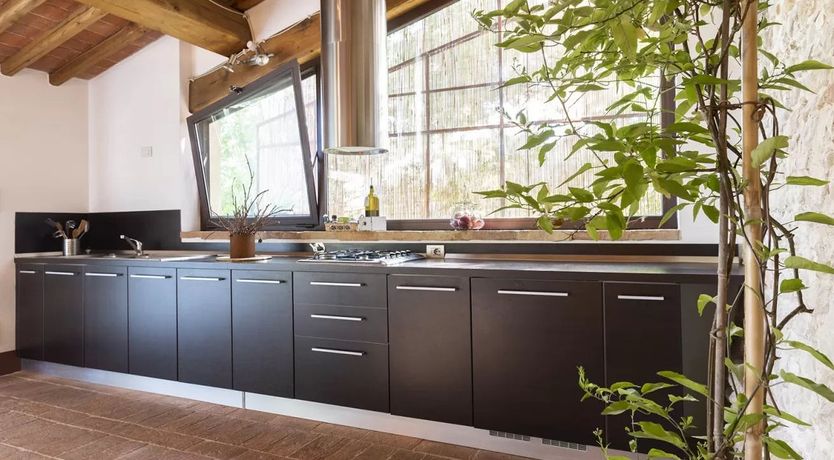 Photo of Into the Groves