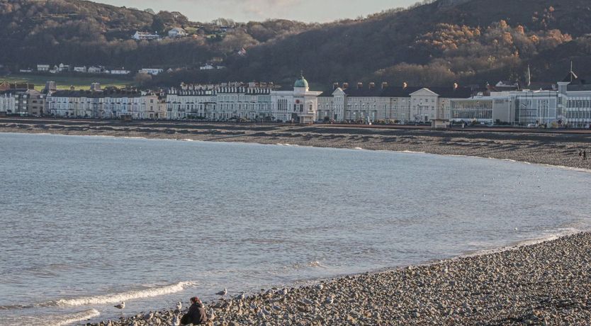 Photo of Apartment 6