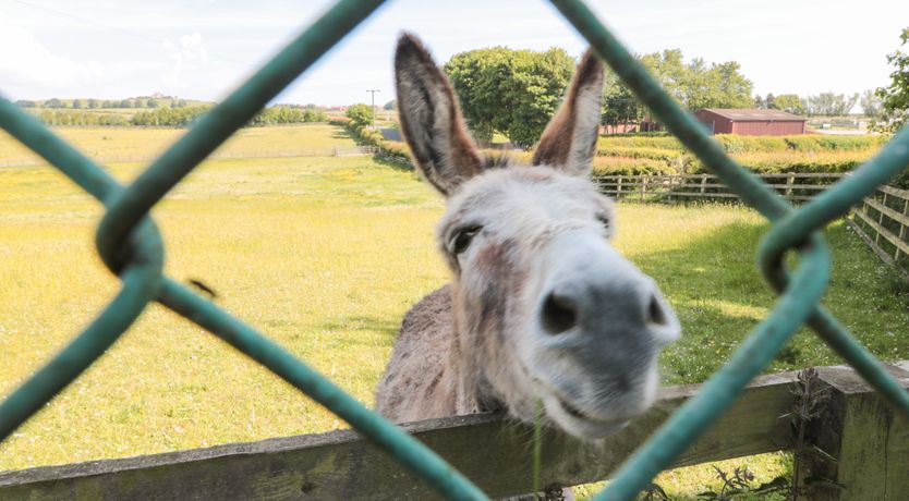 Photo of 2 Station Cottages