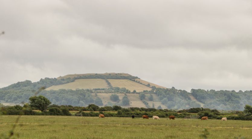 Photo of Bluebell Lodge, Meadow view lodges