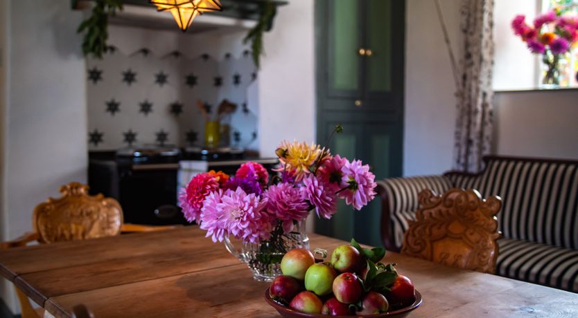 Photo of Tudor Dreams