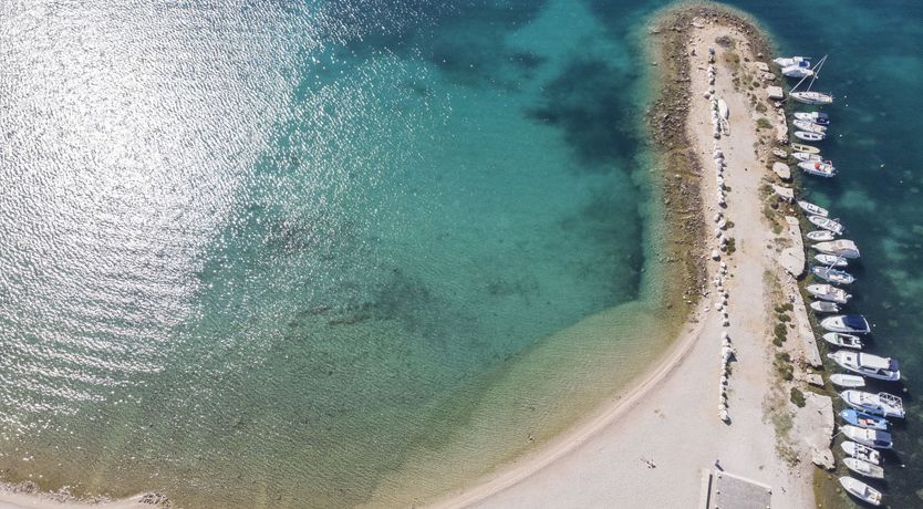 Photo of A Touch of Mustard