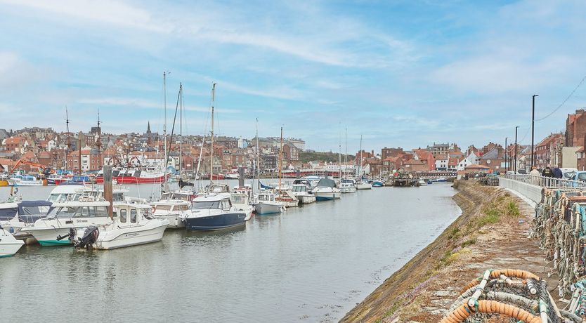 Photo of Harbour Hopes