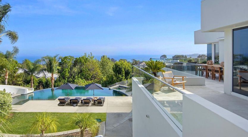 Photo of The Blue Jasmine