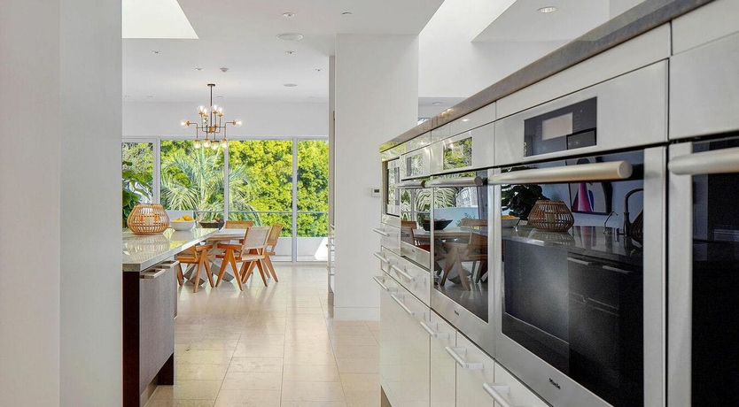 Photo of The Blue Jasmine