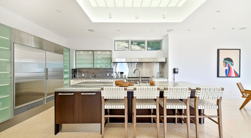 Photo of The Blue Jasmine