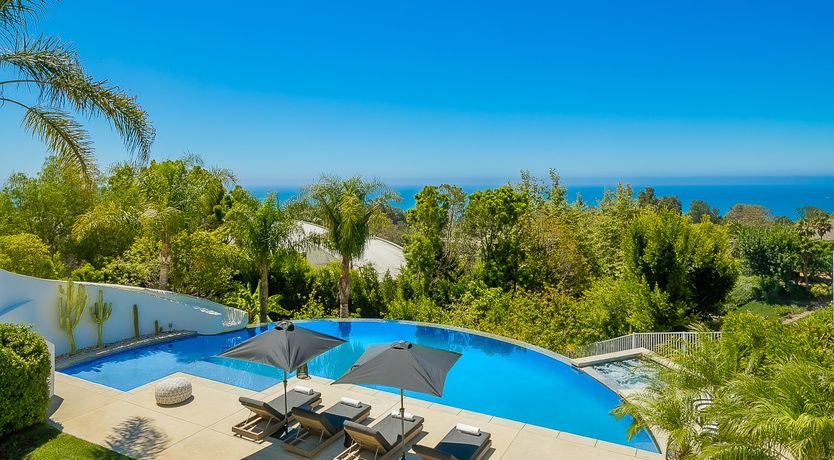 Photo of The Blue Jasmine