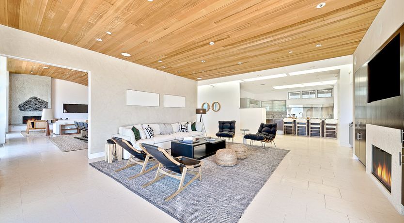 Photo of The Blue Jasmine