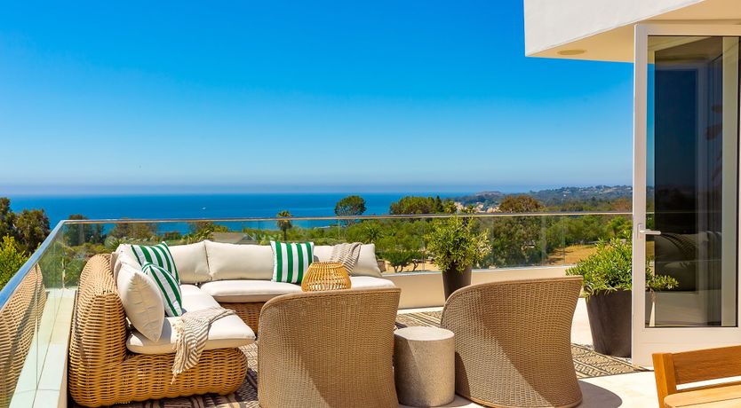 Photo of The Blue Jasmine