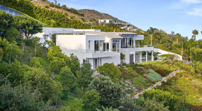 Photo of The Blue Jasmine