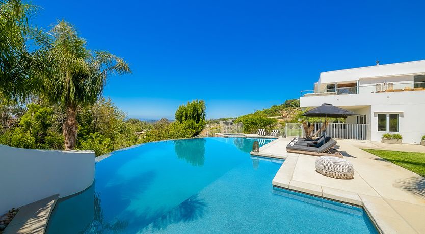 Photo of The Blue Jasmine