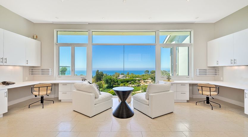 Photo of The Blue Jasmine