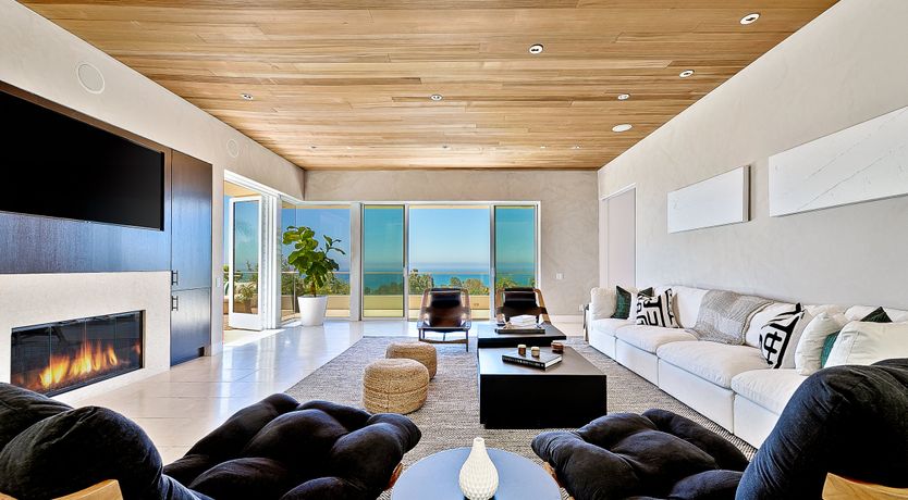 Photo of The Blue Jasmine