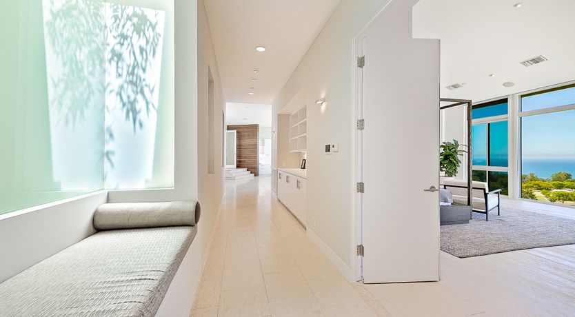 Photo of The Blue Jasmine