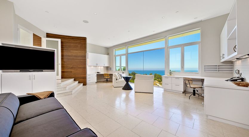 Photo of The Blue Jasmine