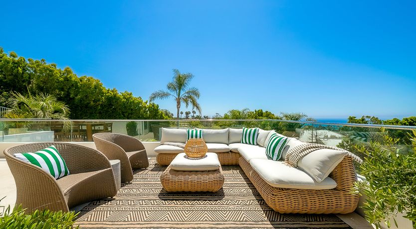 Photo of The Blue Jasmine