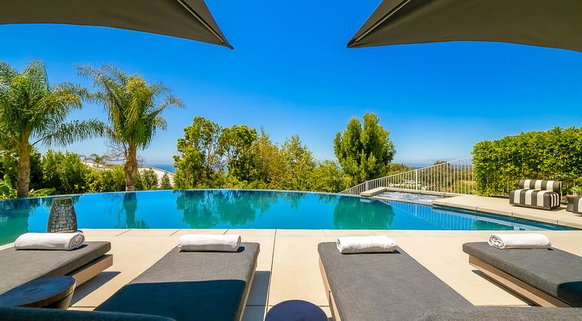 Photo of The Blue Jasmine