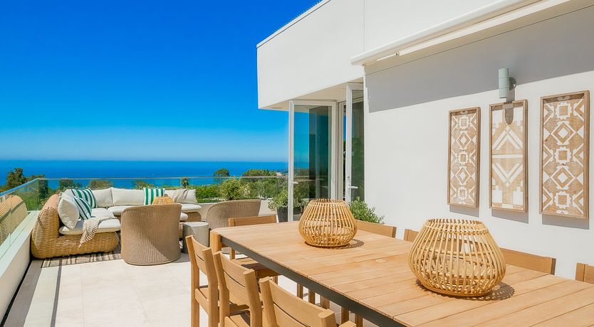 Photo of The Blue Jasmine