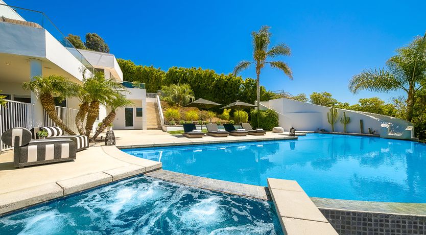 Photo of The Blue Jasmine