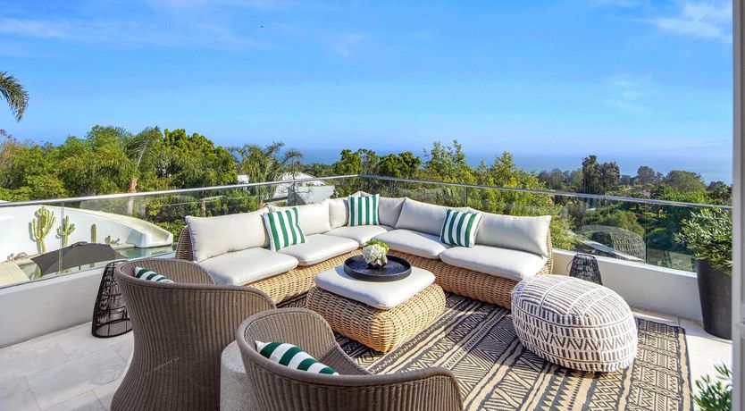 Photo of The Blue Jasmine