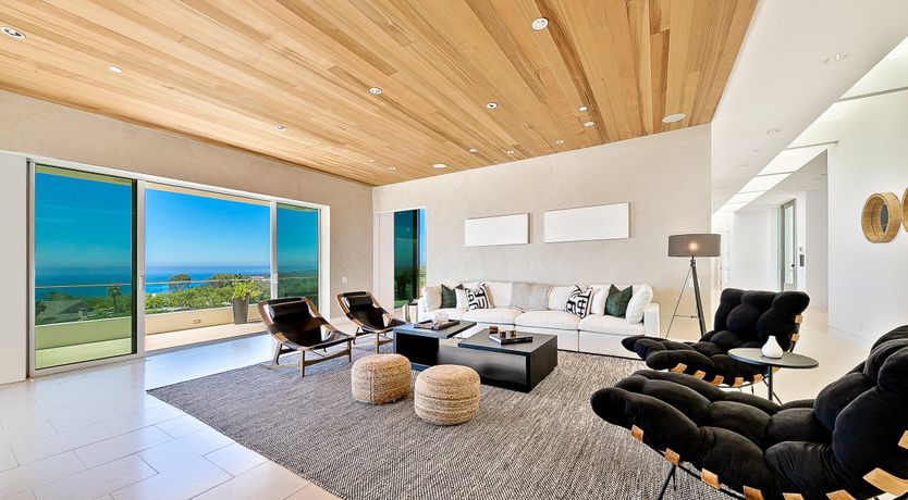 Photo of The Blue Jasmine