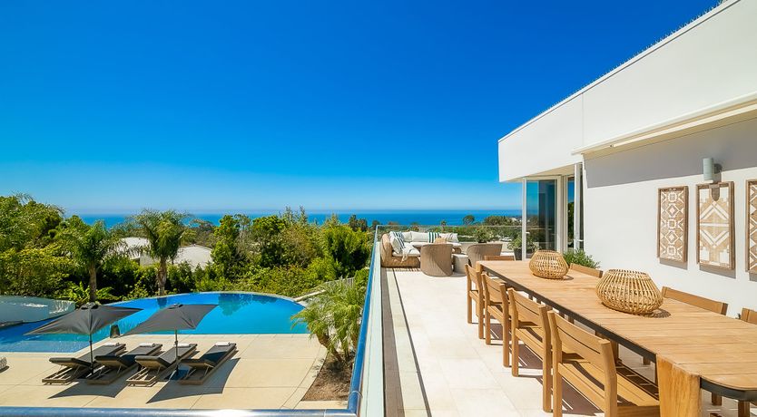 Photo of The Blue Jasmine