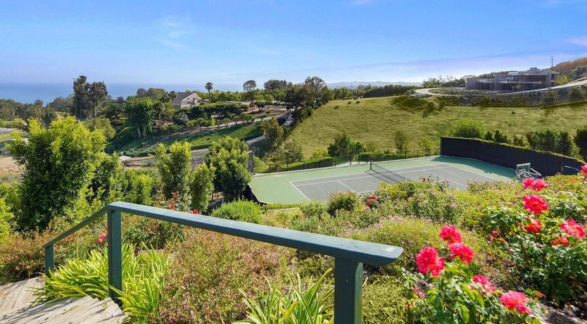 Photo of The Blue Jasmine